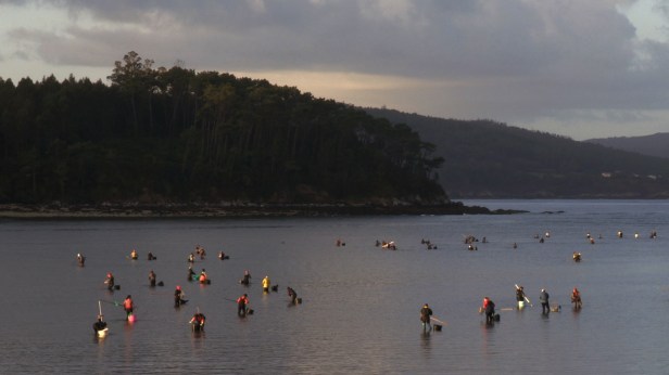 Local shellfish harvesters on the Costa da Morte