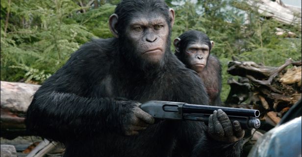 A still showing the extraordinary detail in the faces of the apes.