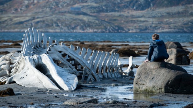 The Leviathan trapped in the bay . . .