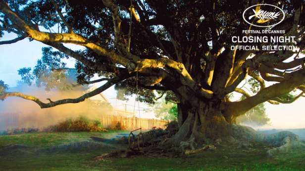 The tree stands in its 'magical reality'