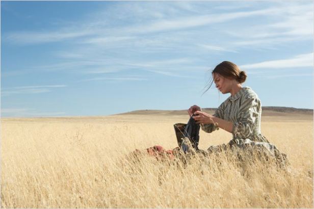 Mary Bee Cuddy (Hilary Swank) with her washboard – keeping up appearances on the plains.